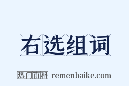 右选组词是什么意思的图片